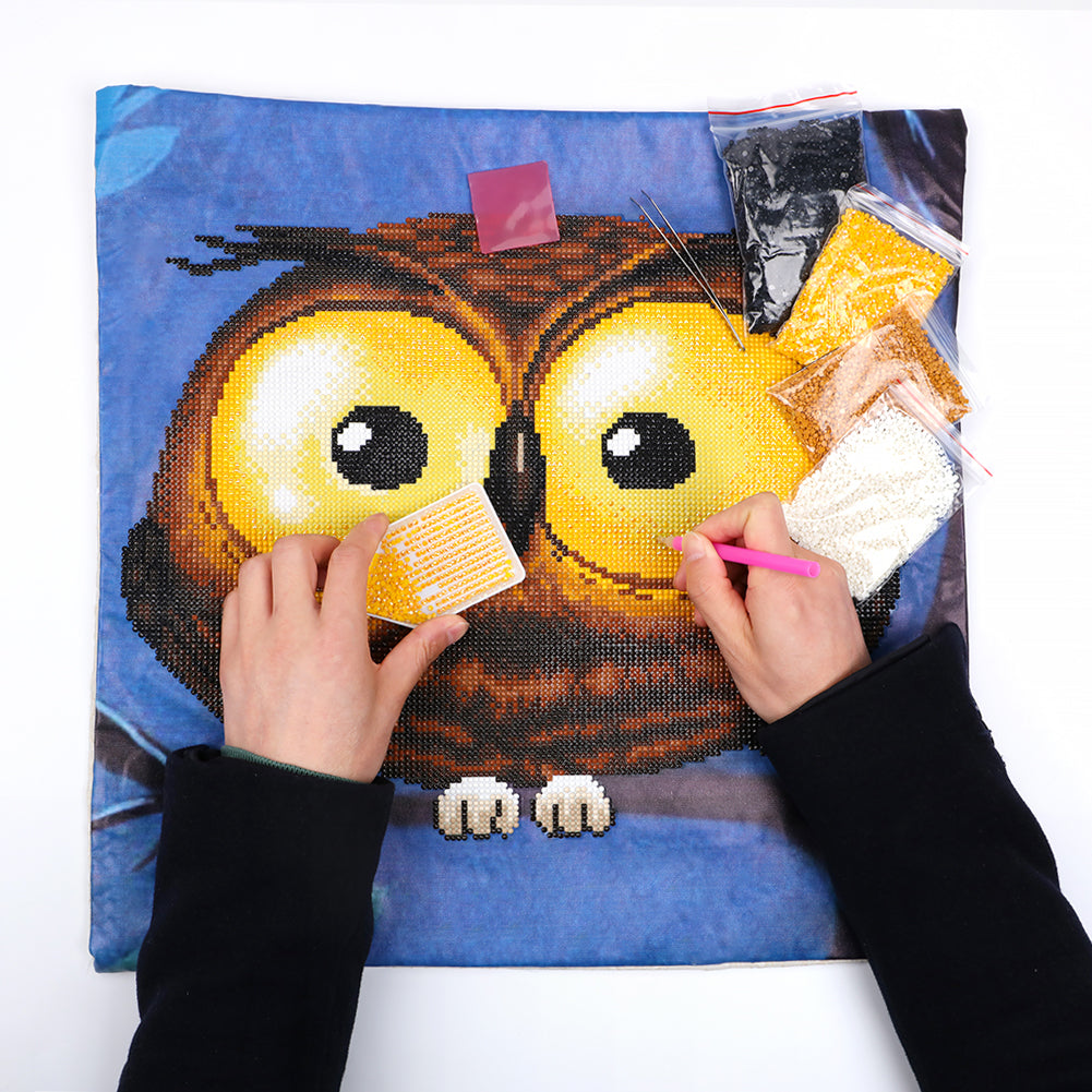 Big Eyes Owl Cushion Cover