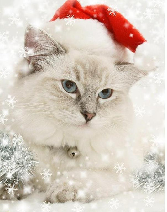 Christmas White Cat Diamond Painting