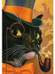 Cat Wearing a Hat AB Drill Diamond Painting