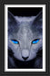 Blue Eyes Cat AB Drill Diamond Painting