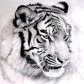 Black and White Tiger AB Drill Diamond Painting