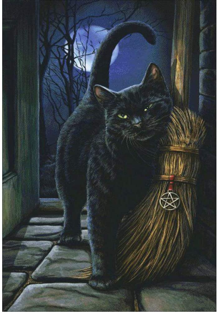 Black Cat And Broo Diamond Painting with AB Drill