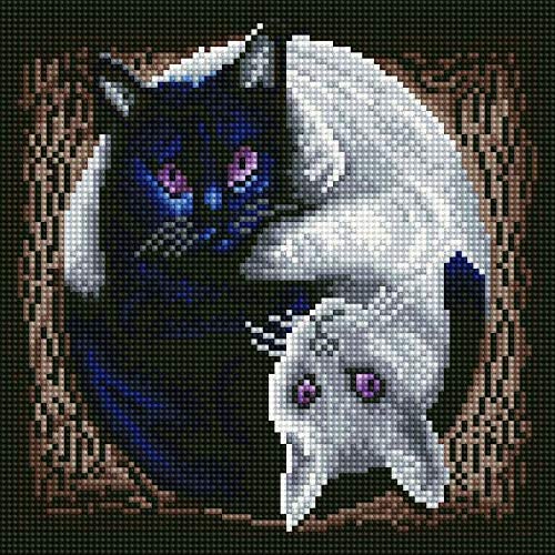 Black and White Cat Diamond Painting With Frame