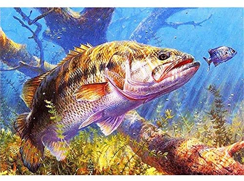 Big Fish AB Drill Diamond Painting