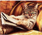 Cat Wearing Glasses AB Drill Diamond Painting