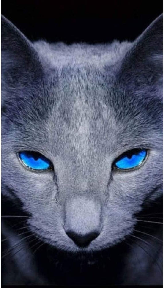 Blue Eyes Cat AB Drill Diamond Painting