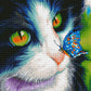 Cat with Butterfly AB Drill Diamond Painting