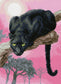 Black Leopard Diamond Painting with AB Drill