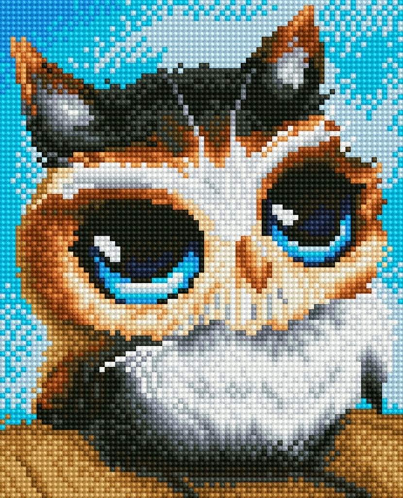 Blue-eyed Furry Owl AB Drill Diamond Painting